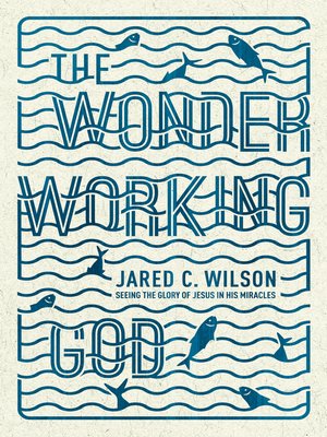 cover image of The Wonder-Working God